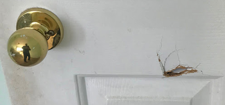 interior door hole repair Wasco